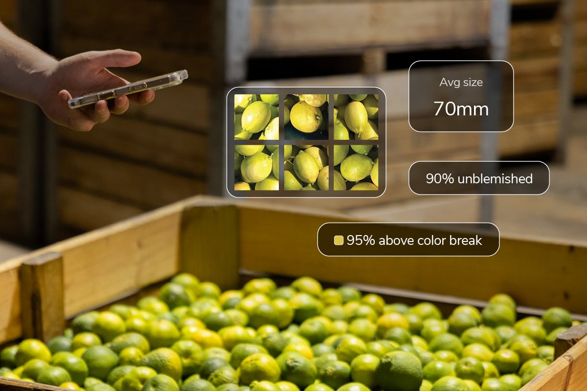 SM_Lemon_Bin_Scan_APR26_1080x1350_Blog (1)