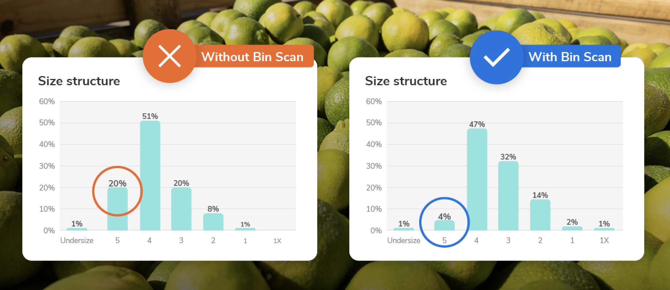 Screenshot 2026-04-24 at 16.00.06