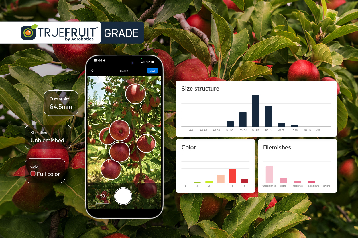 TF_Email Header_Apple Grade_Nov2025_v2