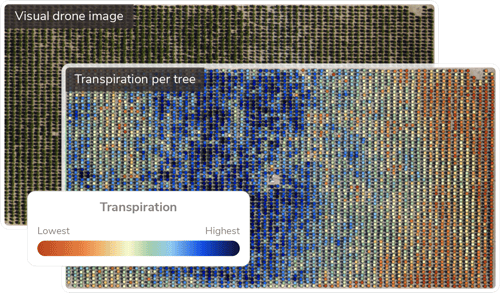 Aerobotics Transpiration Tool 